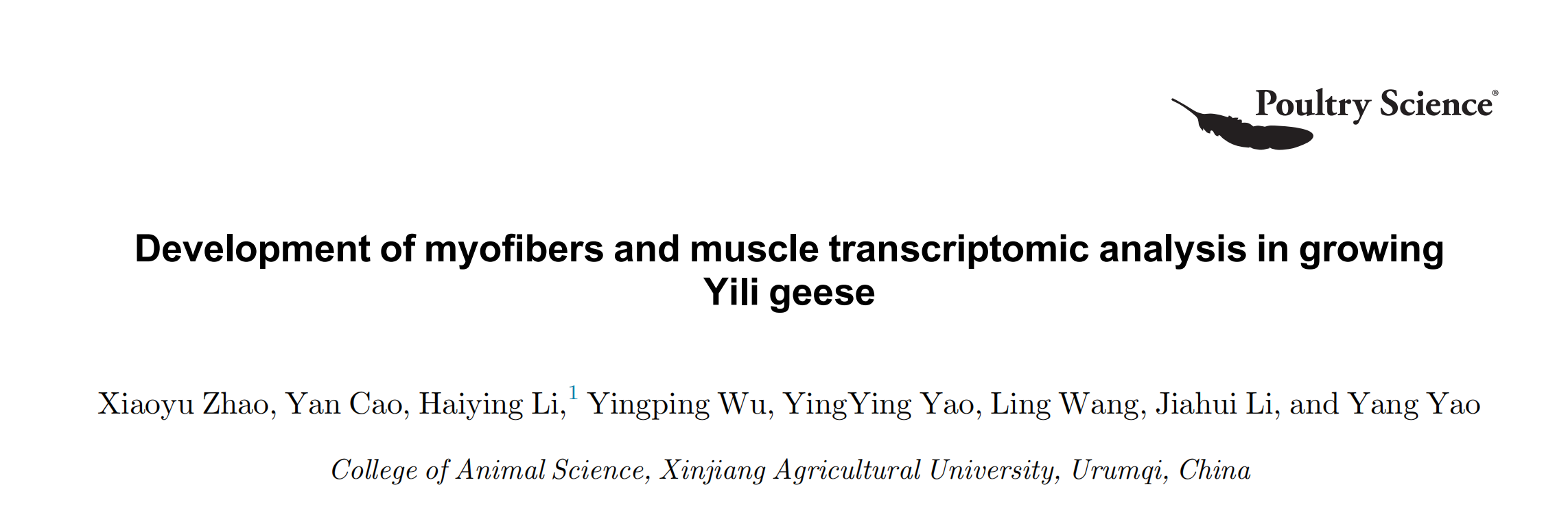 Development of myofibers and muscle transcriptomic analysis in growing ...