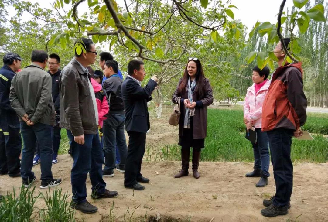 "2 5"联动机制给出答案