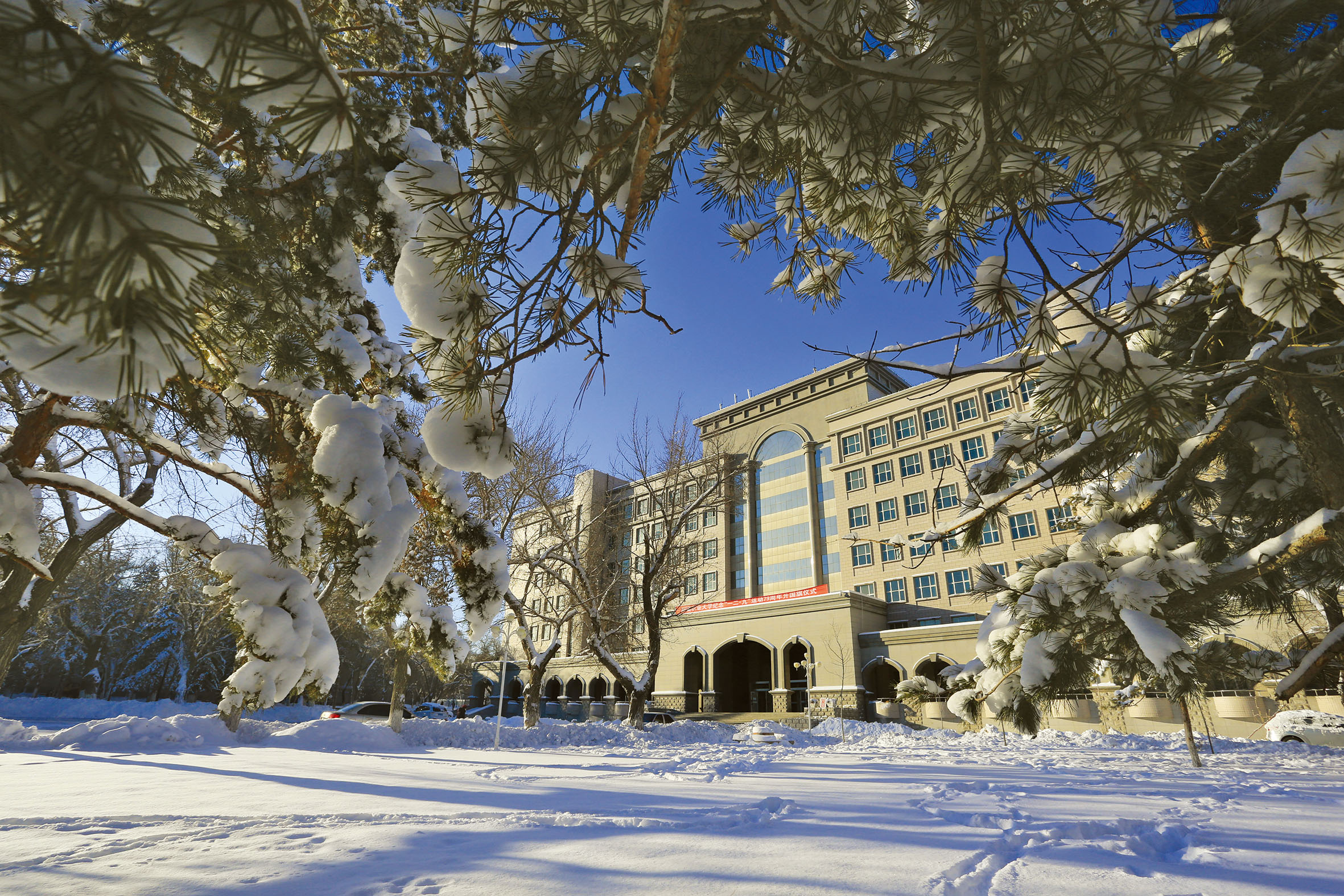 【喜讯】新疆农业大学获评全国文明校园